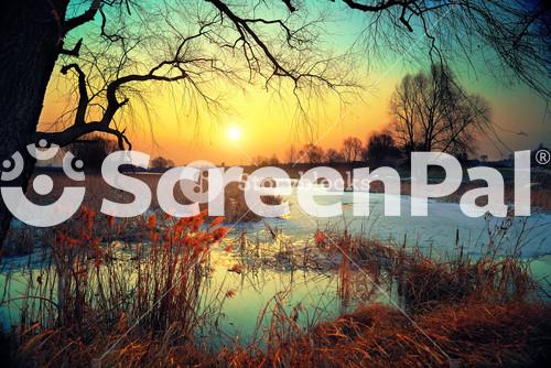 Winter Rural Landscape At Sunset